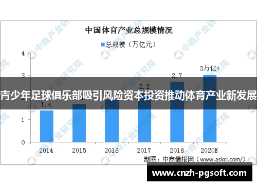 青少年足球俱乐部吸引风险资本投资推动体育产业新发展