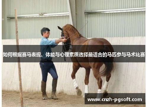 如何根据赛马表现、体能与心理素质选择最适合的马匹参与马术比赛