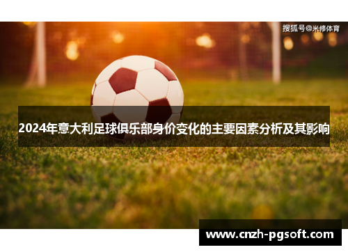 2024年意大利足球俱乐部身价变化的主要因素分析及其影响