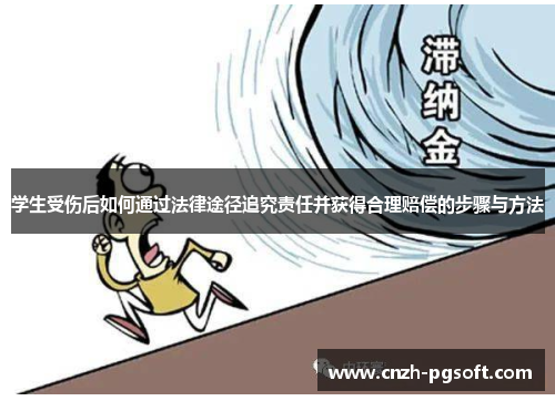 学生受伤后如何通过法律途径追究责任并获得合理赔偿的步骤与方法