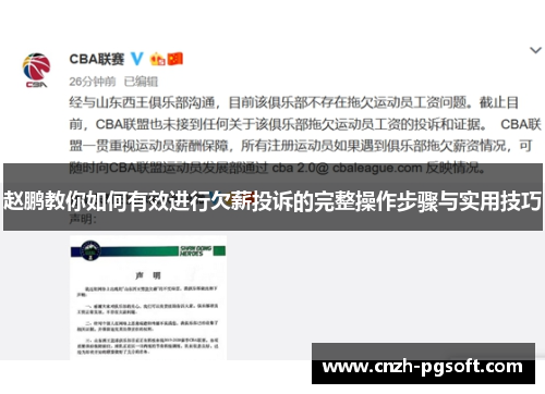 赵鹏教你如何有效进行欠薪投诉的完整操作步骤与实用技巧