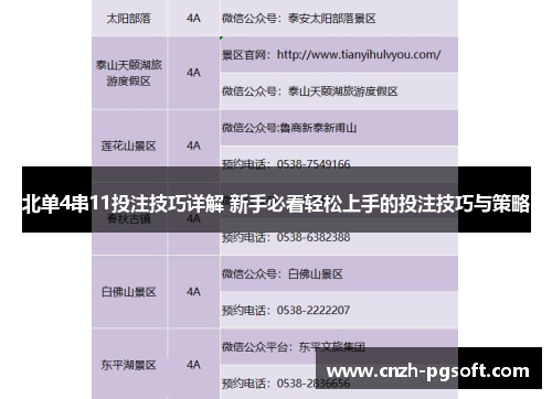 北单4串11投注技巧详解 新手必看轻松上手的投注技巧与策略