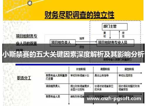 小斯禁赛的五大关键因素深度解析及其影响分析