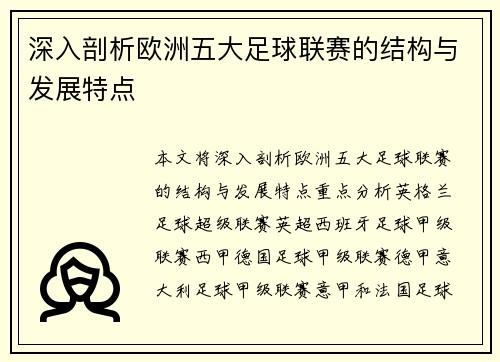 深入剖析欧洲五大足球联赛的结构与发展特点