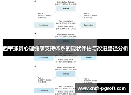 西甲球员心理健康支持体系的现状评估与改进路径分析