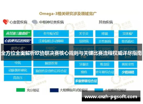 全方位全面解析欧协联决赛核心规则与关键比赛流程权威详尽指南