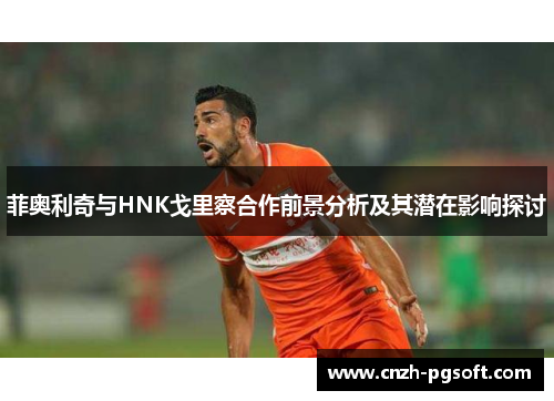 菲奥利奇与HNK戈里察合作前景分析及其潜在影响探讨