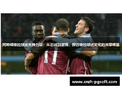 阿斯顿维拉球迷支持力量：从忠诚到激情，探讨维拉球迷文化的深厚根基